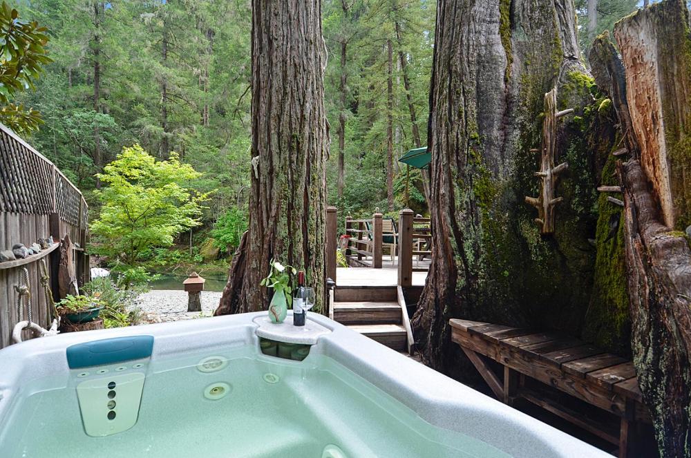 Sequoia Beach Dreamery
